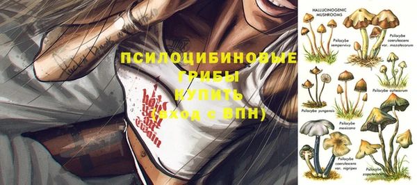 mix Нязепетровск