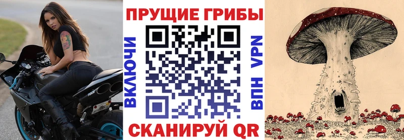 Псилоцибиновые грибы MAGIC MUSHROOMS  Купить  Сычёвка 